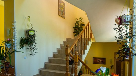 Пансионат «Ника» Киселихе фото 4