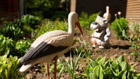 Пансионат «Линия жизни» Марфино фото 7
