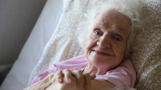 «Столетник» в Домодедовском фото 4