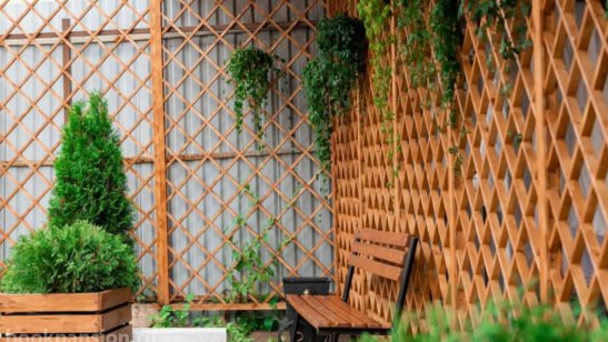 Пансионат «Теплые беседы» Сходня фото 6