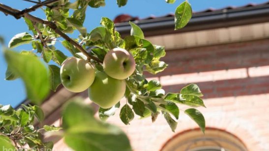 «Теплые беседы» в Видном фото