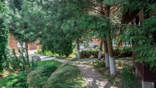 «Теплые беседы» Подольск фото 5