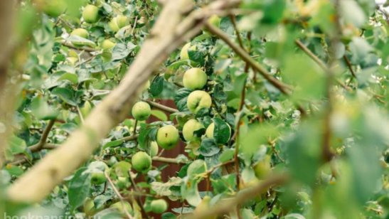 «Теплые беседы» Лобня фото 9