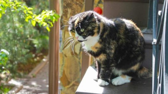 «Теплые беседы» Домодедовская фото 10