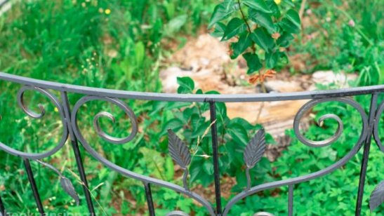 Пансионат «Теплые беседы» Зеленоград – 1 фото 5