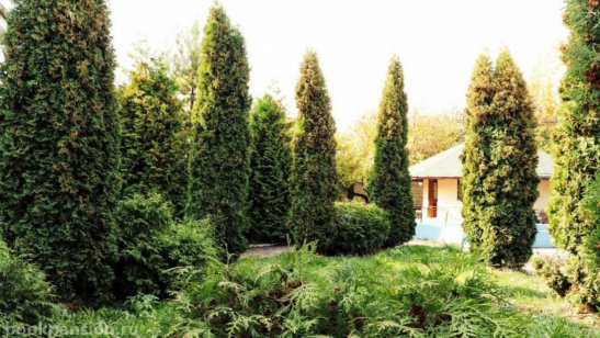 Пансионат «Забота о близких» Беседы фото 6