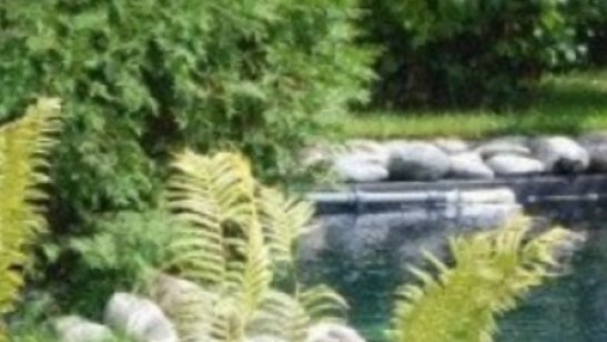 «Пансионат и точка» в Бутово фото 4