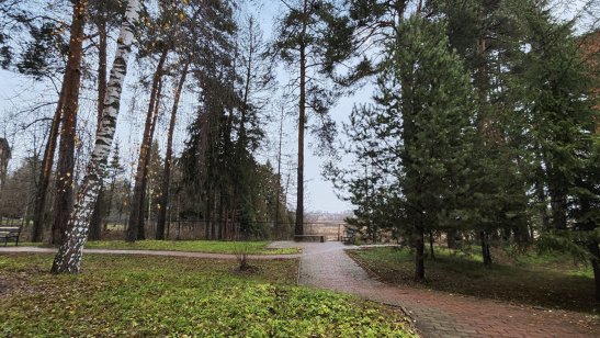 Пансионат для престарелых «Друзья» «Солнечногорск» фото 4