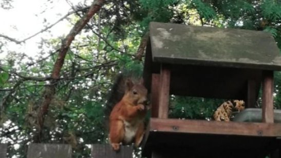 Пансионат «Источник жизни» фото 11