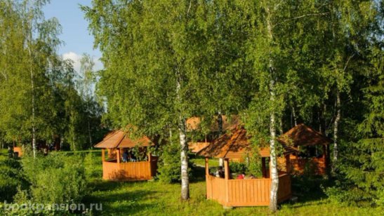 Пансионат «Забота о близких» Заря фото 8