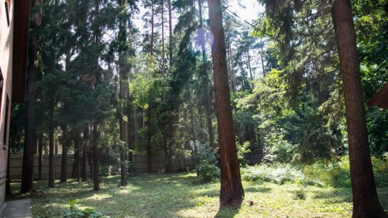 Пансионат «Осень жизни» в Королеве фото 4