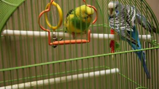 Пансионат «Осень жизни» на метро Щёлковская фото 3