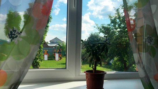 Пансионат «Мирра» в Истре фото