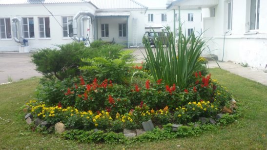 Пансионат Ногинский Электрогорское отделение фото