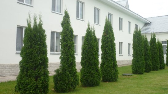 Пансионат Ногинский Электрогорское отделение фото 6