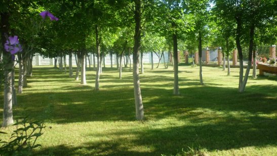 Пансионат Ногинский Электрогорское отделение фото 7