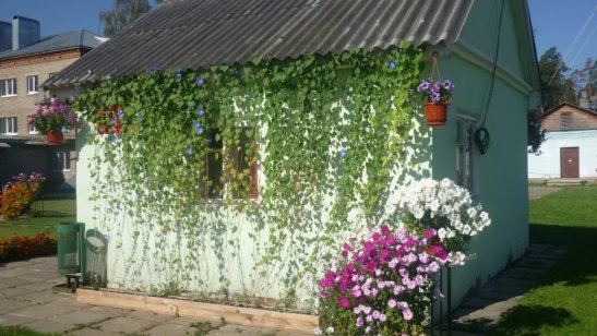 Пансионат Ногинский Электрогорское отделение фото 8