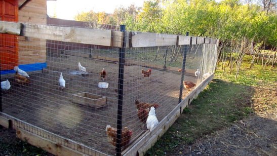 Пансионат Горыныч в Шаликово фото 4