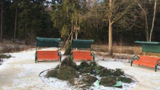 Пансионат «Домик в лесу» фото 4