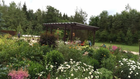 Пансионат «Домик в лесу» фото 14