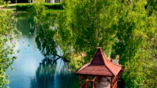 Пансионат «Дом доброты» в Солнечногорске