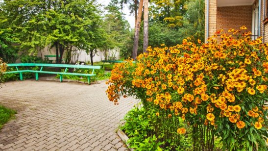 Пансионат Доброта в Ильинском фото 6