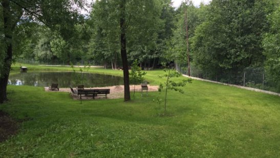 Пансионат «Добрые сердца» в Денежниково фото 3