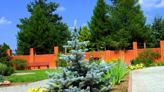 Пансионат Забота и уход в Молоково фото 5