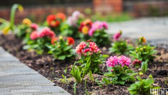 Пансионат УКСС в Долгопрудном фото 4