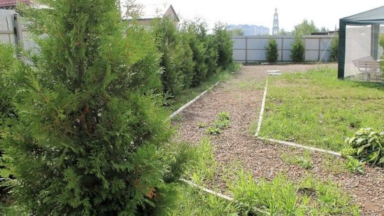 Пансионат Ховрино фото 6