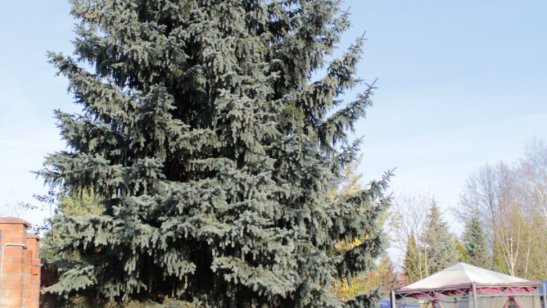 Пансионат Десна