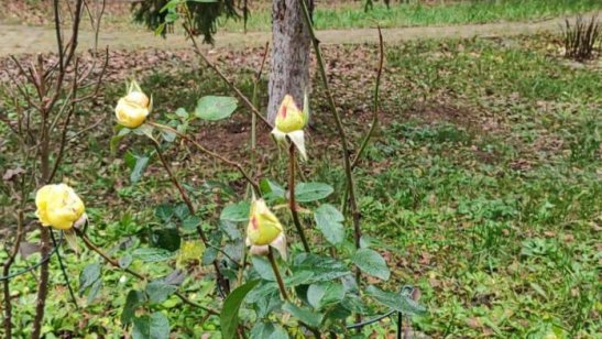 «Дом Жизни» фото 7