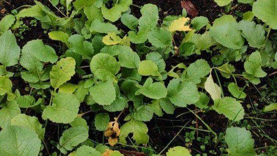 «Дом Жизни» фото 8