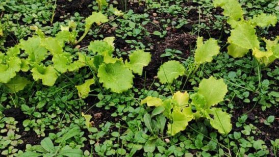 «Дом Жизни» фото 9