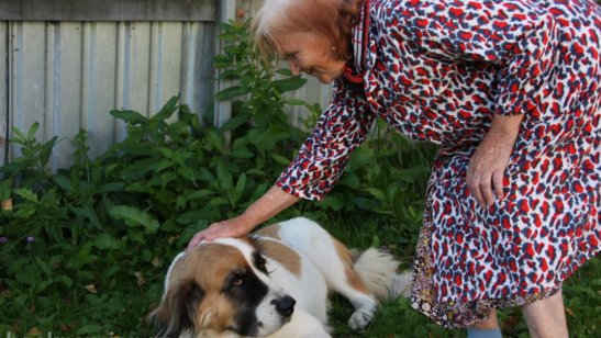 Пансионат «Долголетие» в Клину фото 3