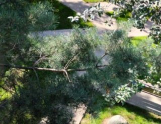 Пансионат Life Pension Бутово