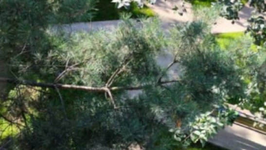 Пансионат Life Pension Бутово