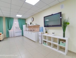 Пансионат «Доброта» Подольск 2