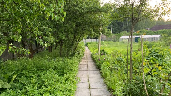 Пансионат «Лесная Усадьба» фото 4