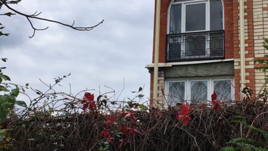 Пансионат «Лесная Усадьба» фото 8