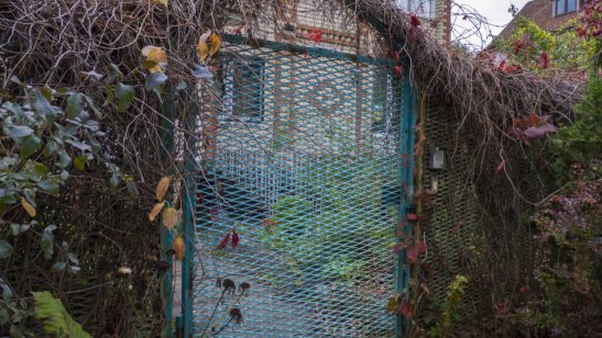 Пансионат «Лесная Усадьба» фото 9