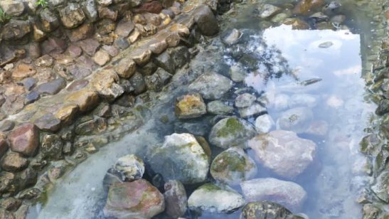 «Семейные традиции» Красногорск фото