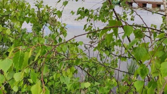 «Семейные традиции» Красногорск фото 6