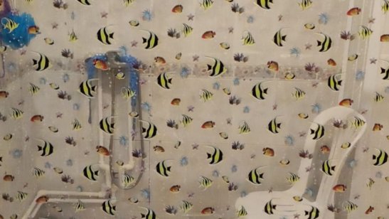 «Семейные традиции» Красногорск фото 8