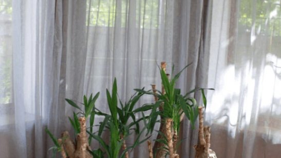 «Берегиня» в Нарофоминске фото 4