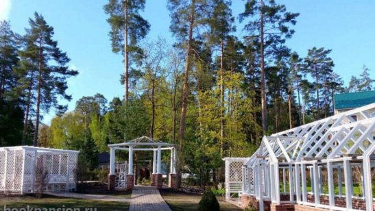 «Теплые беседы» Зеленоград-2 фото 3