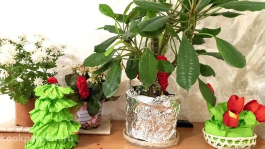 Пансионат «Голубое» фото