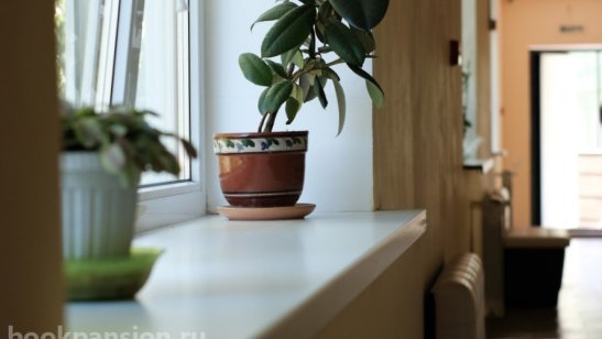 Частный пансионат SM-pension Химки фото 8