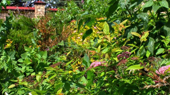 Пансионат SM-pension на Дмитровском шоссе фото