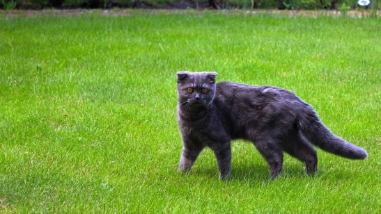 Пансионат SM-pension на Дмитровском шоссе фото 5